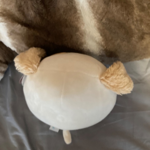 Harrison squishmallow - Picture 4 of 7